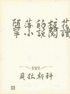 堕落的校花赵诗宁小说阅读封面