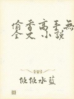 偷香高手无删减全文 小说