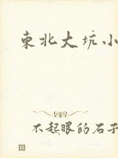 东北大坑小说