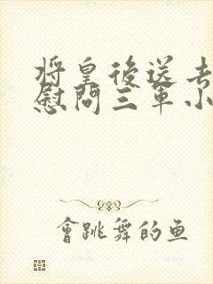 将皇后送去军营慰问三军小说封面