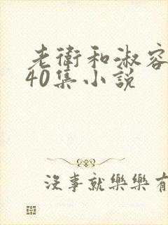 老卫和淑容1-40集小说