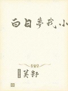白日梦我小说