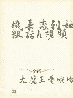 机长脔到她哭h粗话h视频