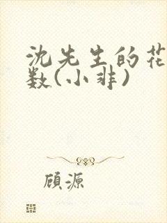 沈先生的花式调数(小非)封面