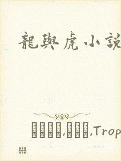 龙与虎小说