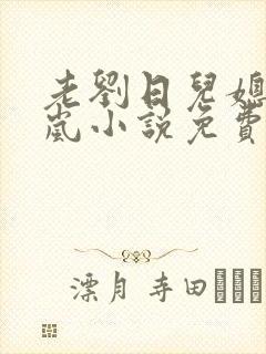 老刘日儿媳妇张岚小说免费阅读