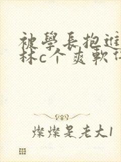 被学长抱进小树林c个爽软件