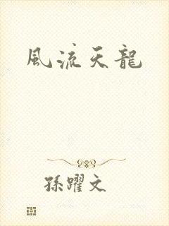 风流天龙