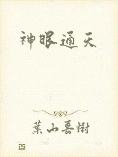 神眼通天