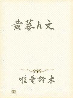黄蓉h文封面
