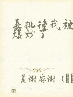 长批后我被宿敌爆炒了