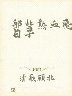 那些热血飞扬的日子封面