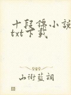 十段锦小说全本txt下载
