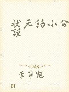 状元的小公主小说