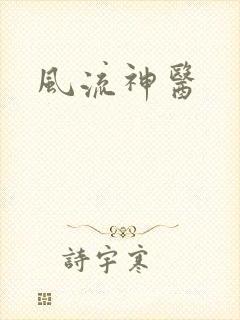 风流神医封面