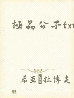 极品公子txt封面