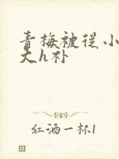 青梅被从小摸到大h补