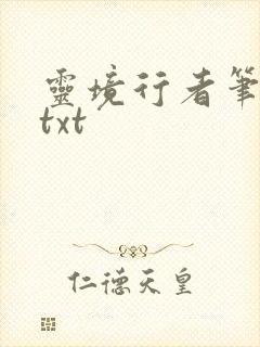 灵境行者笔趣阁txt