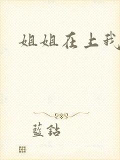 姐姐在上我在下