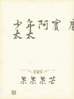 少年阿宾 房东太太封面