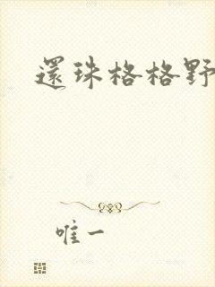 还珠格格野传封面