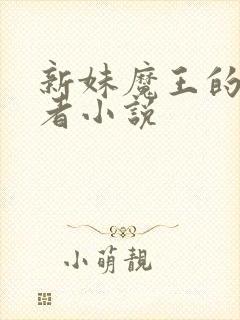 新妹魔王的契约者小说