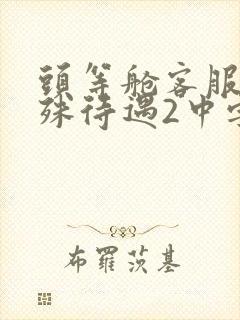 头等舱客服的特殊待遇2中字