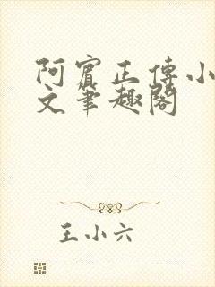 阿宾正传小说全文笔趣阁