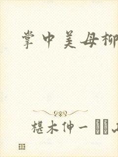 掌中美母柳玉茹封面