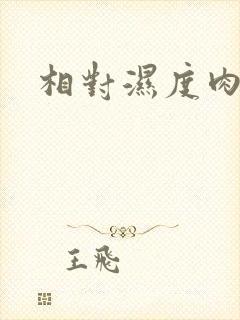 相对湿度肉车封面