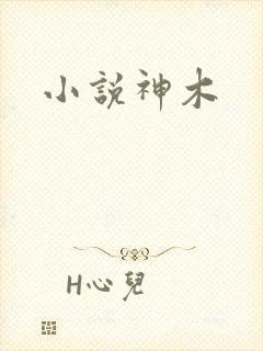 小说神木