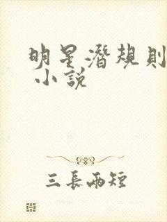 明星潜规则之皇 小说