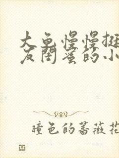 大龟慢慢挺进女友闺蜜的小说