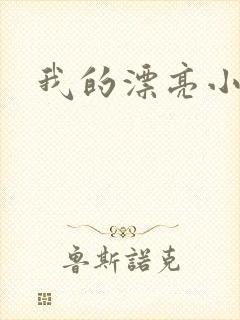 我的漂亮小后妈