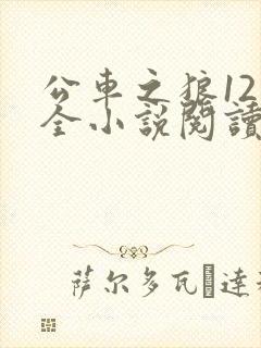 公车之狼12集全小说阅读