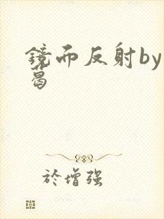 镜面反射by九葛封面