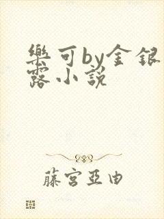 乐可by金银花露小说