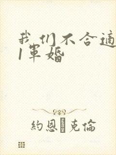 我们不合适1v1军婚