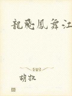 龙飞凤舞江一龙封面