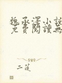 魏承泽小说全文免费阅读无弹窗笔趣