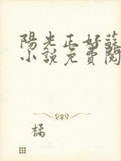 阳光正好苏玥玥小说免费阅读无弹窗