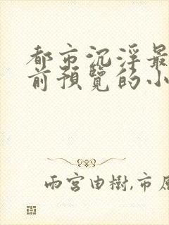 都市沉浮最快超前预览的小说3030