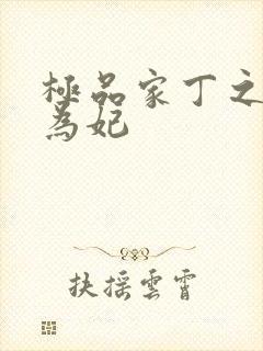 极品家丁之册母为妃