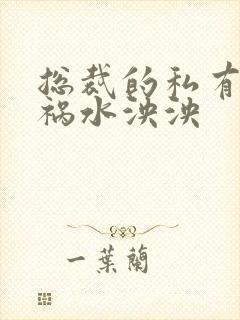 总裁的私有宝贝祸水泱泱