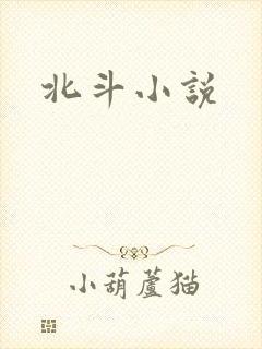 北斗小说