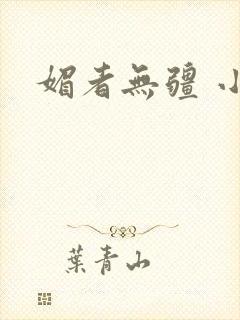 媚者无疆 小说封面