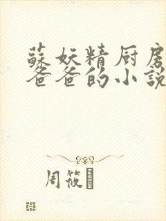 苏妖精厨房爹爹爸爸的小说封面