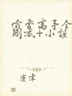 偷香高手全文无删减+小说