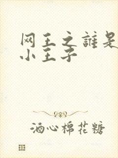 网王之谁是我的小王子封面