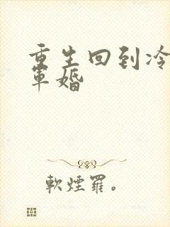 重生回到冷战前军婚封面